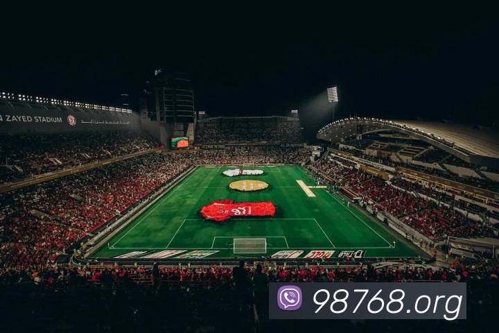 奖项证书